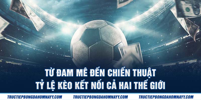 Từ đam mê đến chiến thuật, tỷ lệ kèo kết nối cả hai thế giới