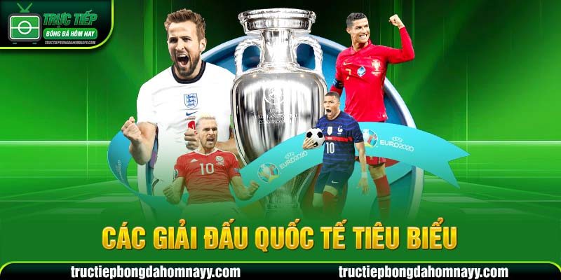 Các giải đấu quốc tế tiêu biểu